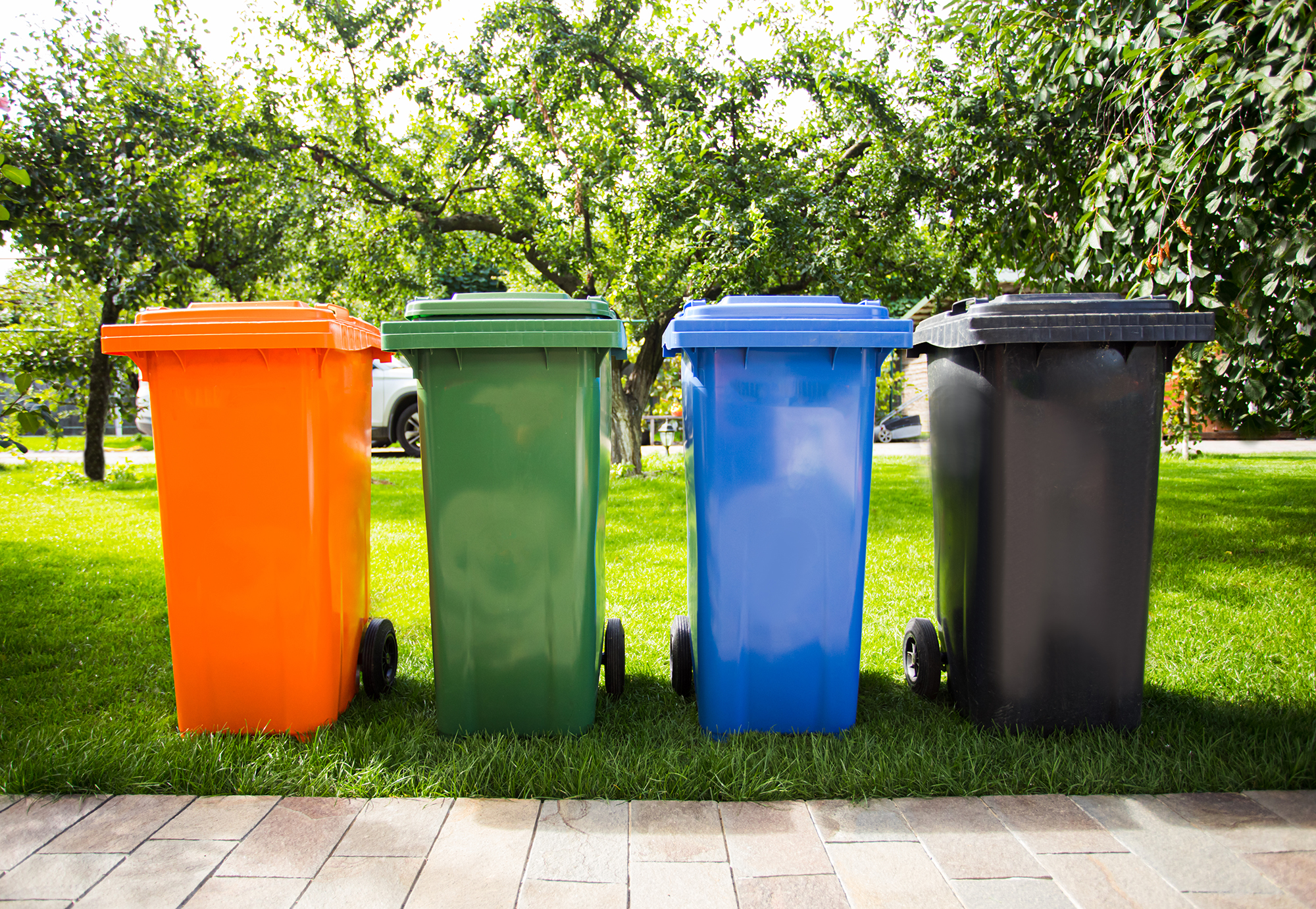 images/Clearwater-Florida-Curbside-Trash-Bin-Cleaning-Service.jpg