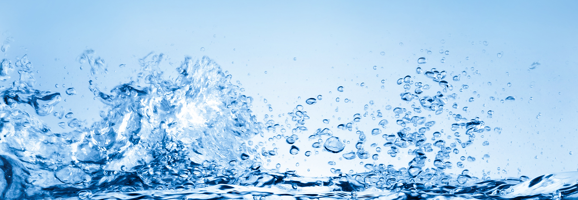 images/Trash-Can-Cleaning-Services-In_Florida.jpg